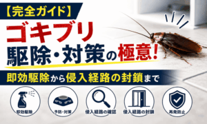 【完全ガイド】ゴキブリ駆除・対策の極意！即効駆除から侵入経路の封鎖まで
