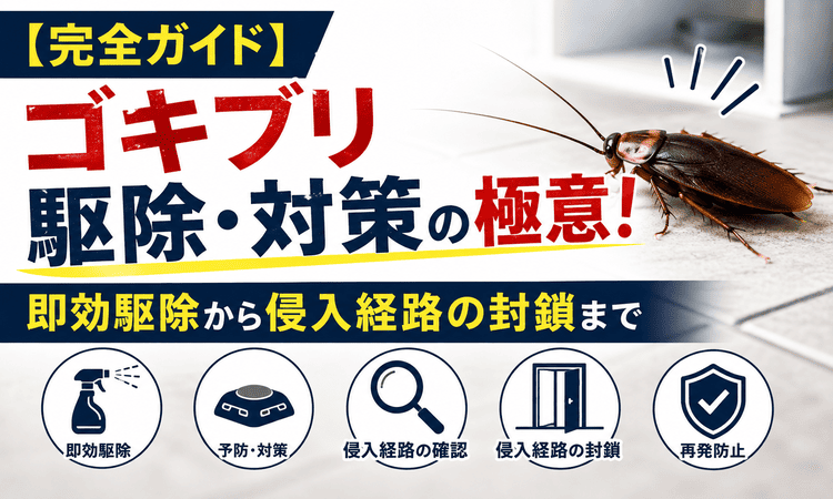 【完全ガイド】ゴキブリ駆除・対策の極意！即効駆除から侵入経路の封鎖まで