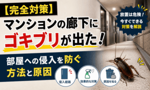【完全対策】マンションの廊下にゴキブリが出た！部屋への侵入を防ぐ方法と原因