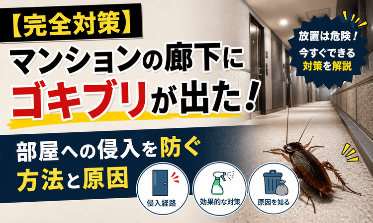 【完全対策】マンションの廊下にゴキブリが出た！部屋への侵入を防ぐ方法と原因